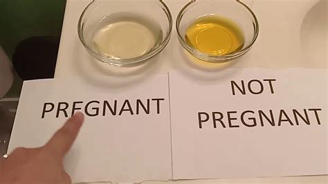 before and after positive bleach pregnancy test foamed